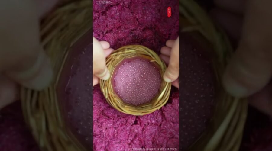 The Legacy of Summer | Brewing Grandma’s Traditional Waxberry Wine to Preserve Her Flavor 🤫🍒🏺