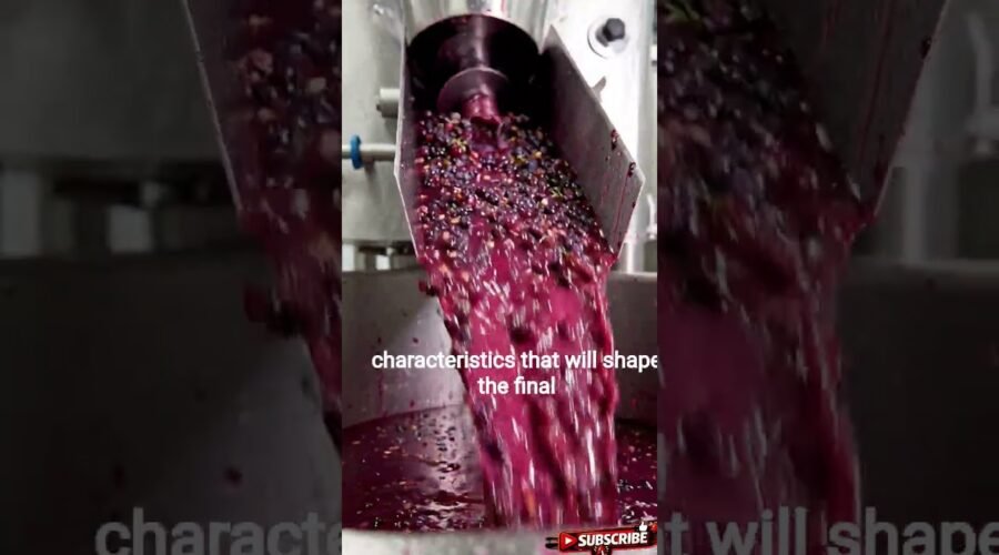 🍷 How Wine Is Really Made | From Vineyard To Bottle