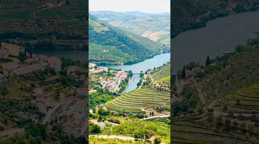 Through the Valley of Port Wine 🍷🚢 | The Douro River 🇵🇹