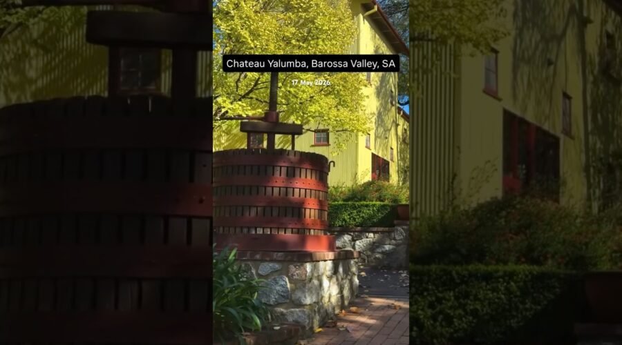 Yalumba Winery Barossa Valley | Exploring Australia’s Oldest Family-Owned Winery 🍷🌿