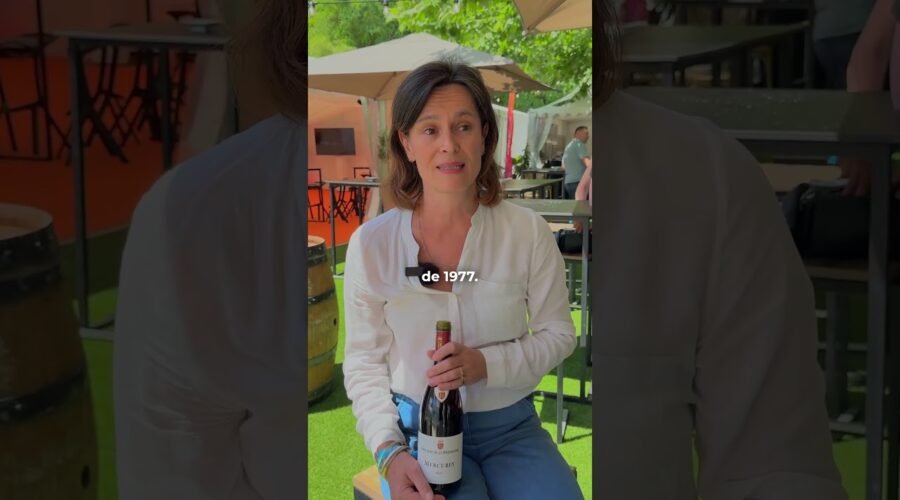 🍷🎾 “MON VIN SERAIT UNE VOLÉE AMORTIE”  #wine #vin #tennis