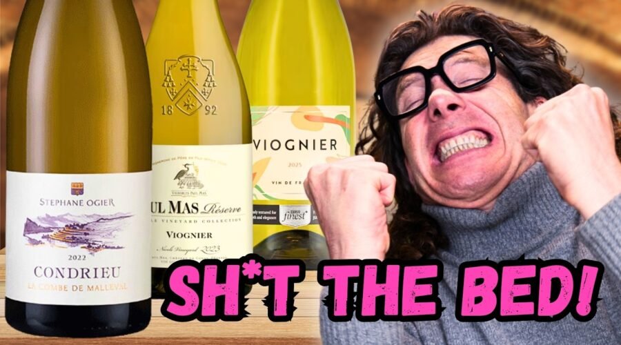 This £10 White Tastes Like a £40 Wine