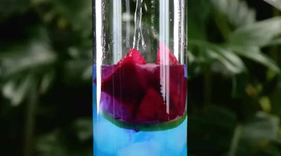 Easy Creative Mocktail Recipes: 3 Fun Zero-Proof Drinks to Try